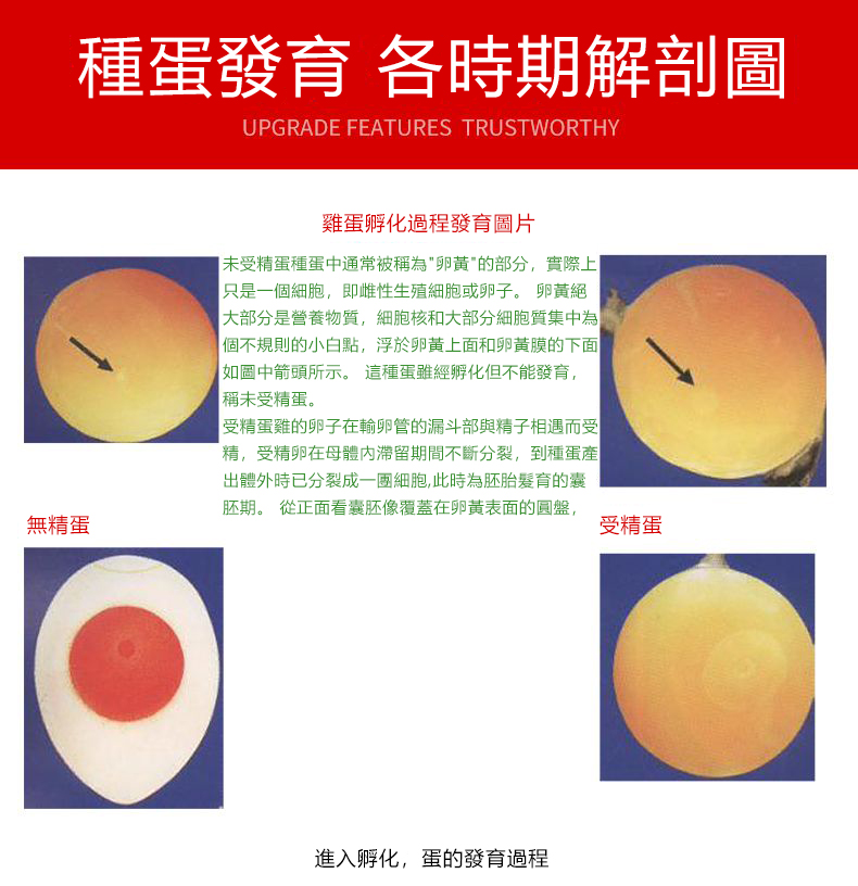内容11.jpg