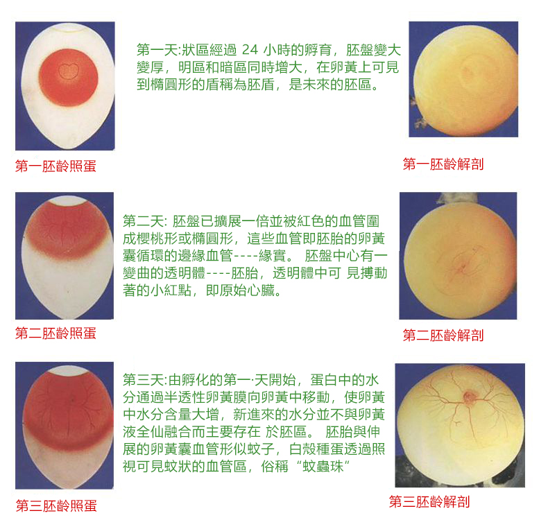 内容12.jpg