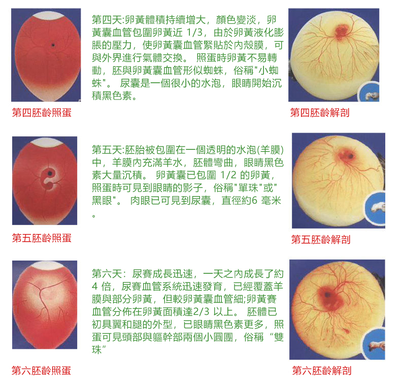 内容13.jpg