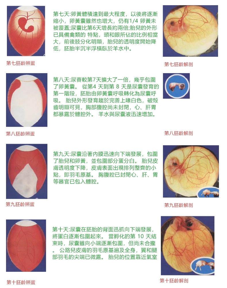 内容14.jpg