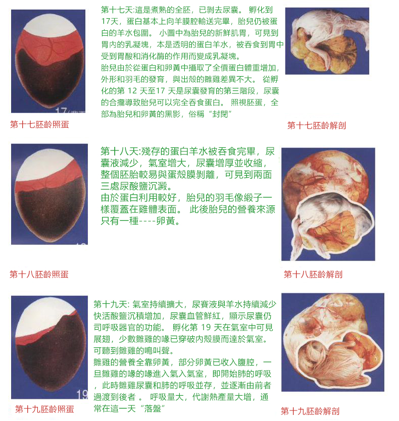 内容17.jpg