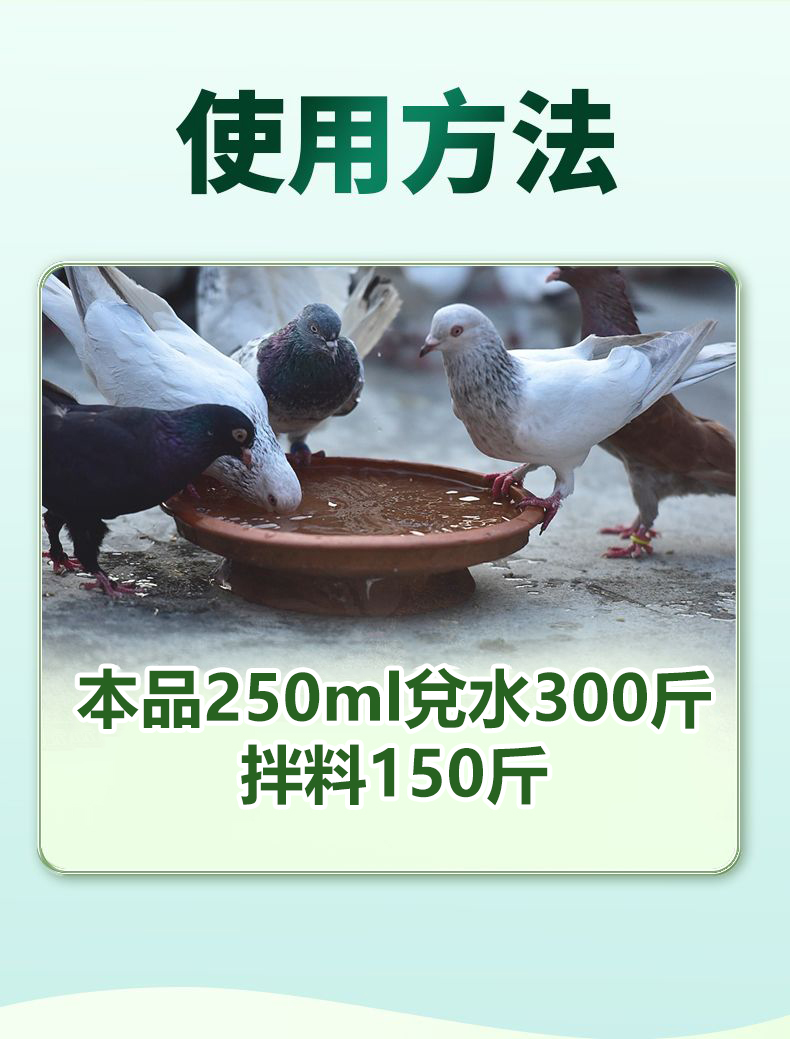 20240515172420215947716.jpg